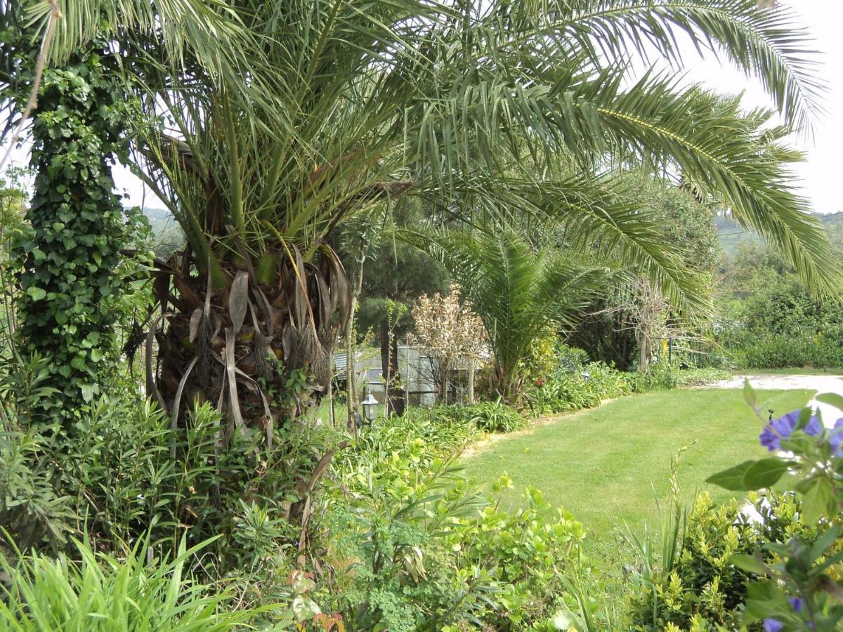 Inviting Holiday Home In Montemor O Novo With Pool Екстериор снимка