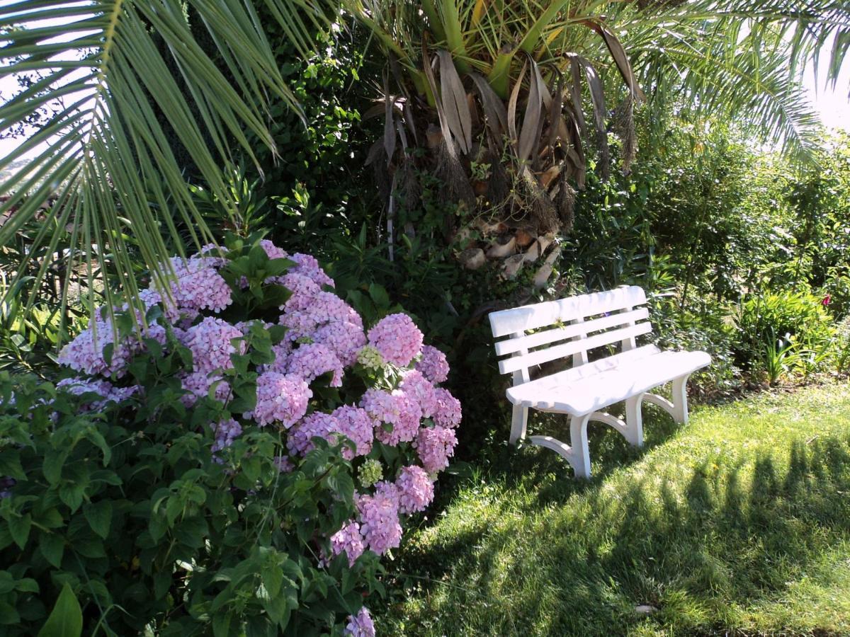 Inviting Holiday Home In Montemor O Novo With Pool Екстериор снимка
