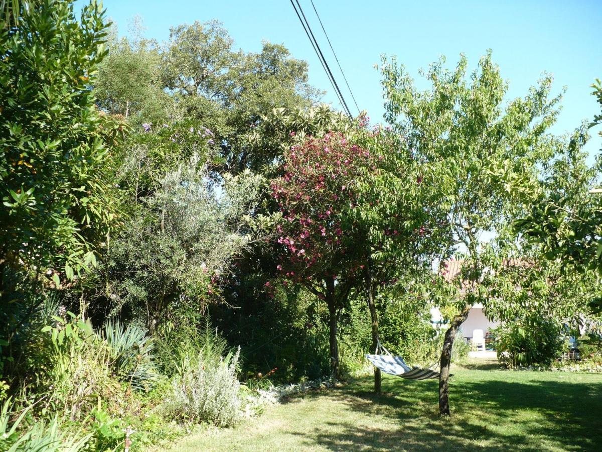 Inviting Holiday Home In Montemor O Novo With Pool Екстериор снимка