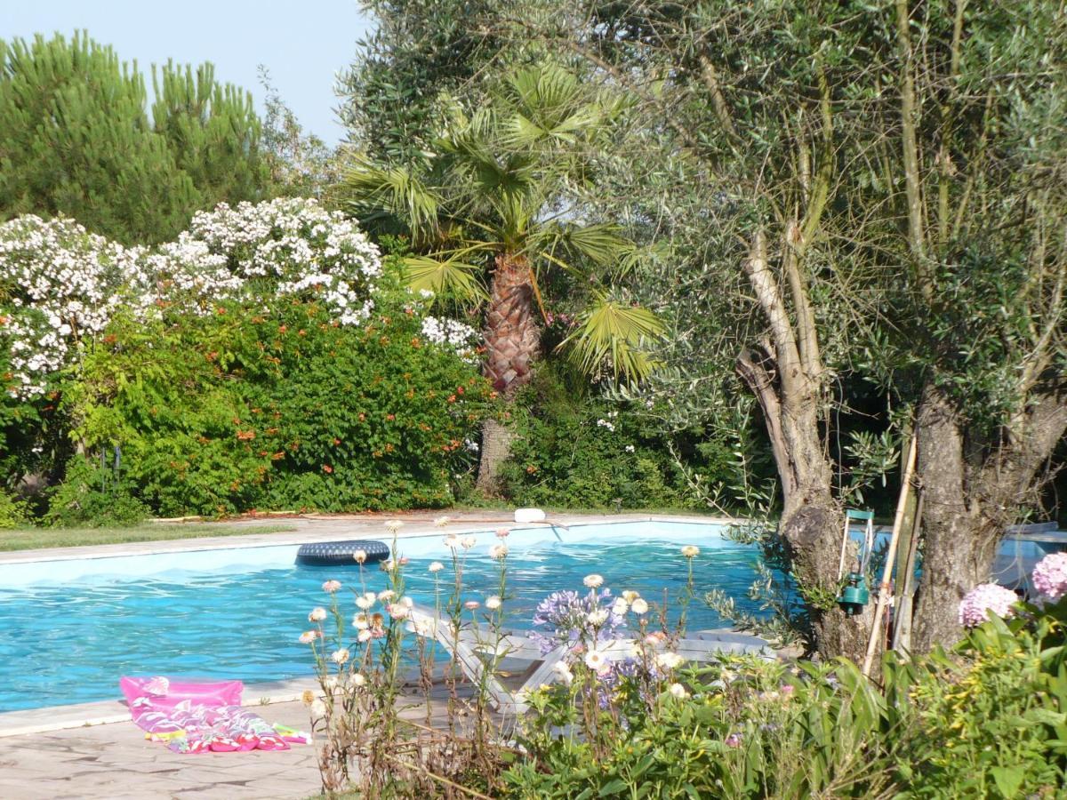 Inviting Holiday Home In Montemor O Novo With Pool Екстериор снимка