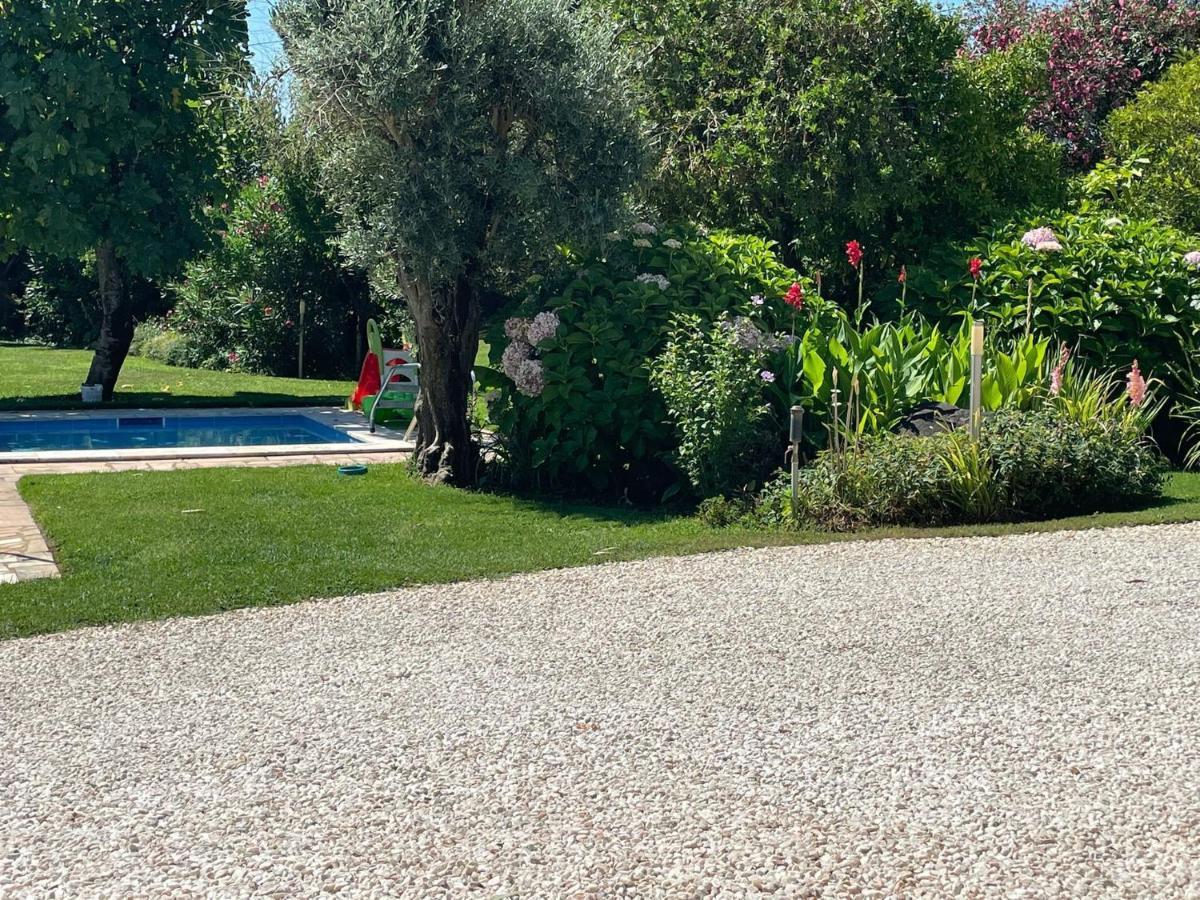 Inviting Holiday Home In Montemor O Novo With Pool Екстериор снимка